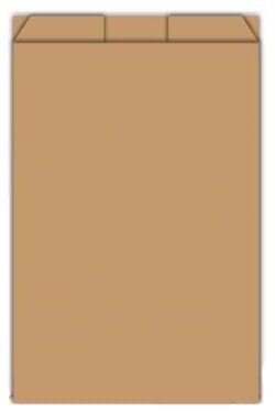 ΧΑΡΤΟΣΑΚΟΥΛΕΣ ΚΡΑΦΤ ΚΑΦΕ (ΑΤΥΠΩΤΗ) - (17x28cm) - 10kg  / 1519